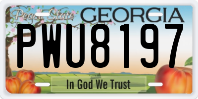 GA license plate PWU8197