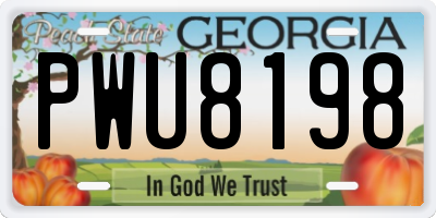 GA license plate PWU8198