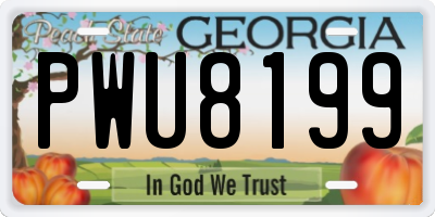 GA license plate PWU8199