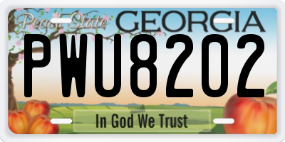GA license plate PWU8202