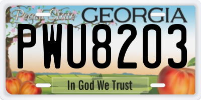 GA license plate PWU8203