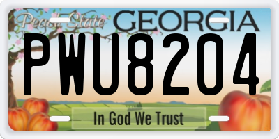 GA license plate PWU8204