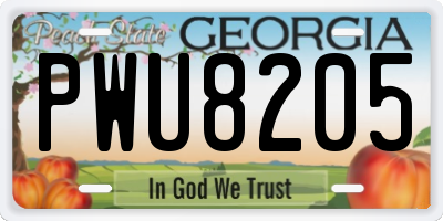 GA license plate PWU8205