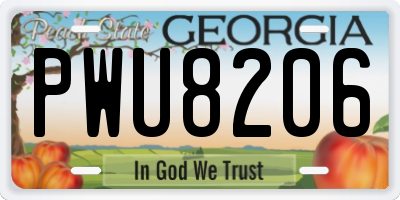GA license plate PWU8206