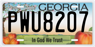 GA license plate PWU8207