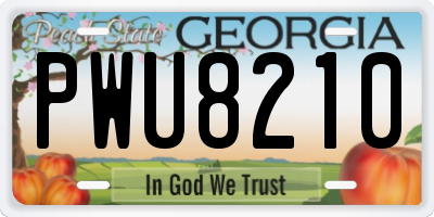GA license plate PWU8210