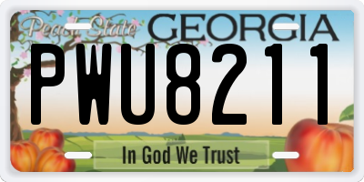 GA license plate PWU8211