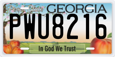 GA license plate PWU8216