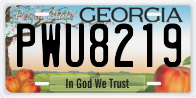 GA license plate PWU8219