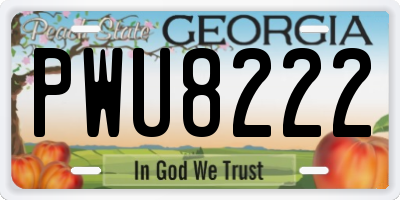 GA license plate PWU8222