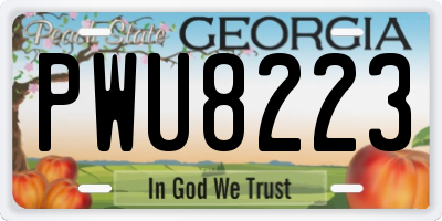 GA license plate PWU8223