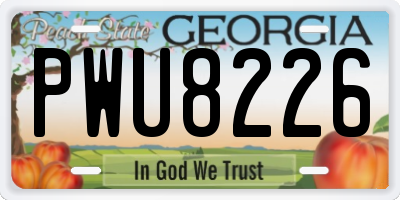 GA license plate PWU8226