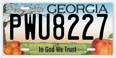 GA license plate PWU8227