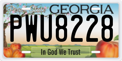 GA license plate PWU8228