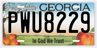 GA license plate PWU8229