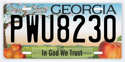 GA license plate PWU8230