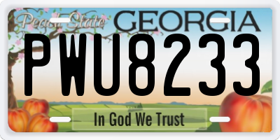 GA license plate PWU8233