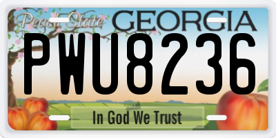 GA license plate PWU8236