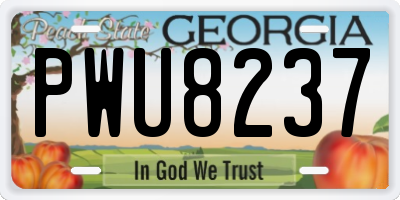 GA license plate PWU8237