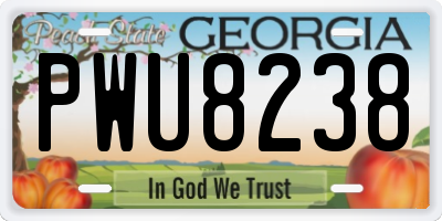 GA license plate PWU8238