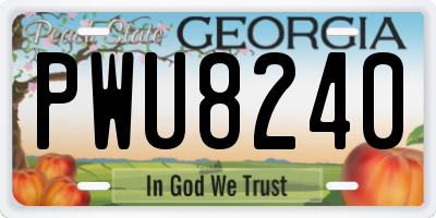 GA license plate PWU8240