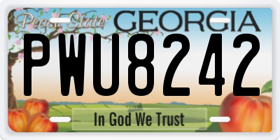 GA license plate PWU8242