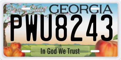 GA license plate PWU8243