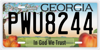 GA license plate PWU8244