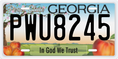 GA license plate PWU8245