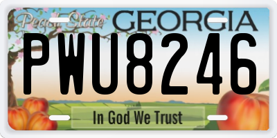 GA license plate PWU8246