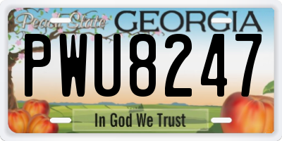 GA license plate PWU8247