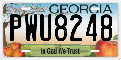GA license plate PWU8248