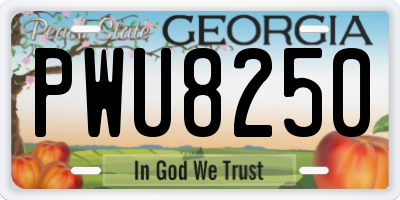 GA license plate PWU8250