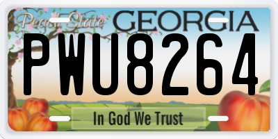GA license plate PWU8264