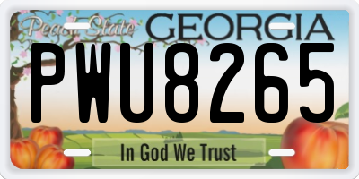 GA license plate PWU8265