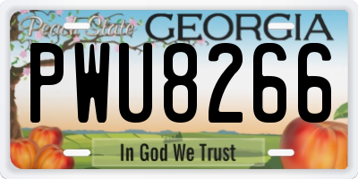 GA license plate PWU8266