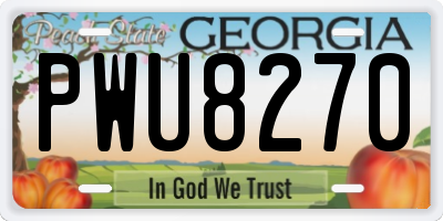 GA license plate PWU8270