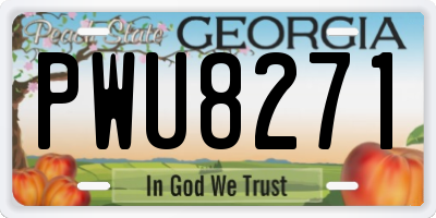 GA license plate PWU8271