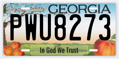 GA license plate PWU8273