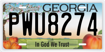 GA license plate PWU8274
