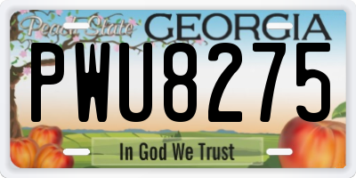 GA license plate PWU8275