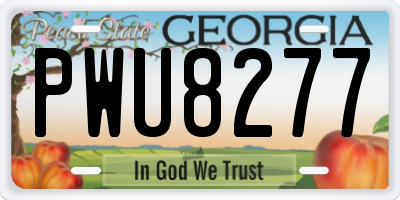 GA license plate PWU8277