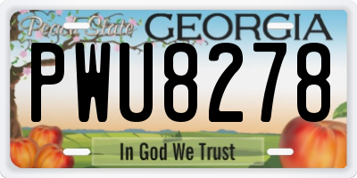 GA license plate PWU8278