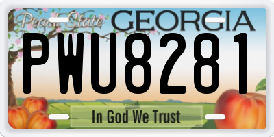 GA license plate PWU8281