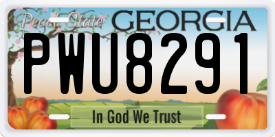 GA license plate PWU8291