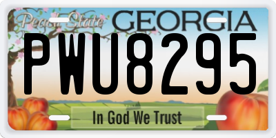 GA license plate PWU8295