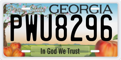 GA license plate PWU8296