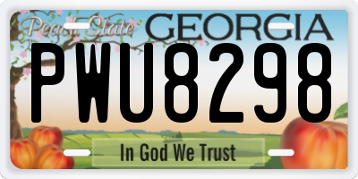 GA license plate PWU8298