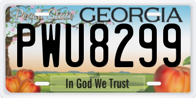 GA license plate PWU8299