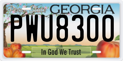GA license plate PWU8300